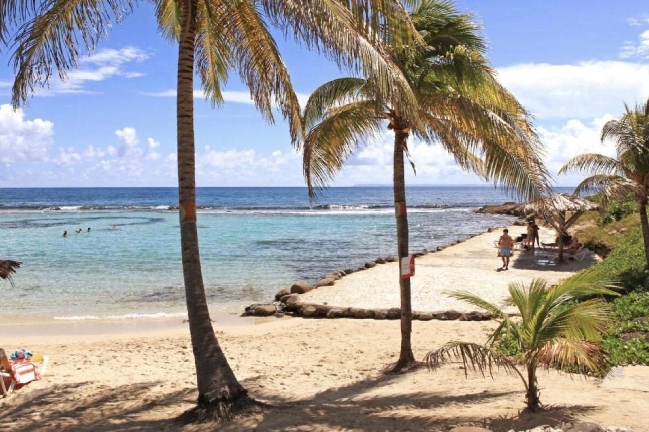 Archipel - Cocon D'Une Architecte En Guadeloupe Saint-Francois  Dış mekan fotoğraf